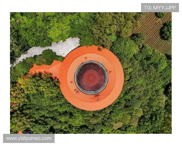 梅州五虎闪耀全运!广东五人制足球夺冠,足球之乡续写传奇(1) 梅州五虎闪耀全运!广东五人制足球夺冠,足球之乡续写传奇(1)